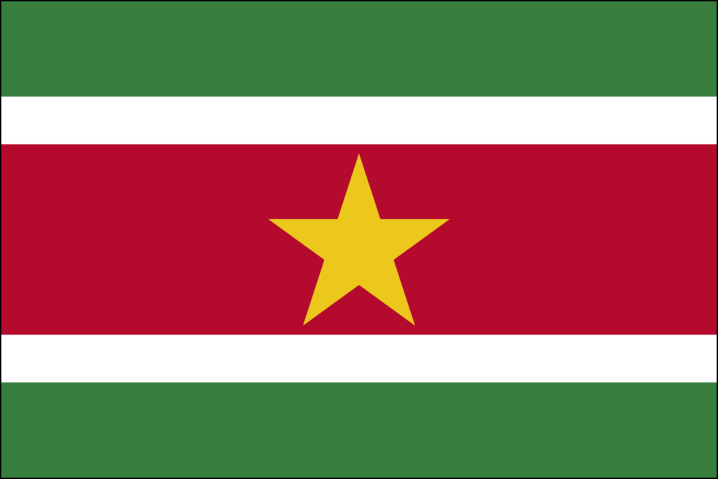 Флаг Сурынам-1