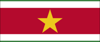 Flagge von Suriname-1