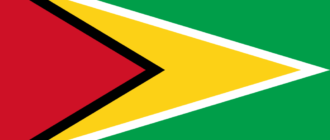 Guyana flag-1