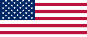 Bandera de Estados Unidos-1