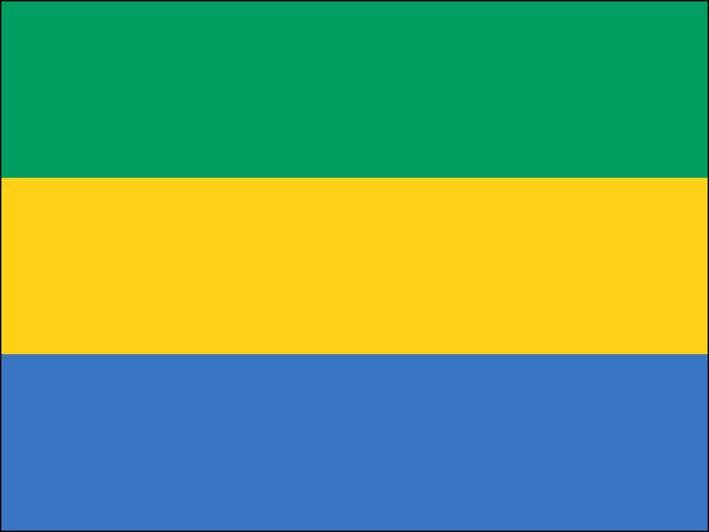 Zastava Gabona-1
