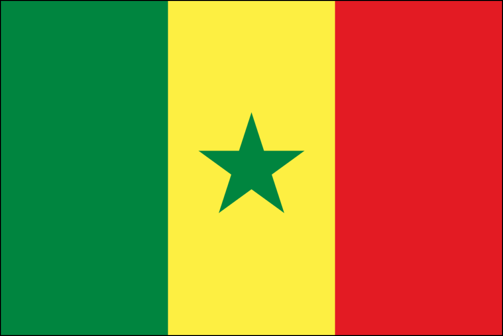 Zastavi Senegal-1