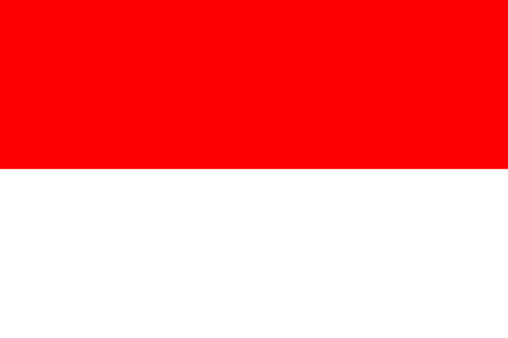флаг индонезии-1