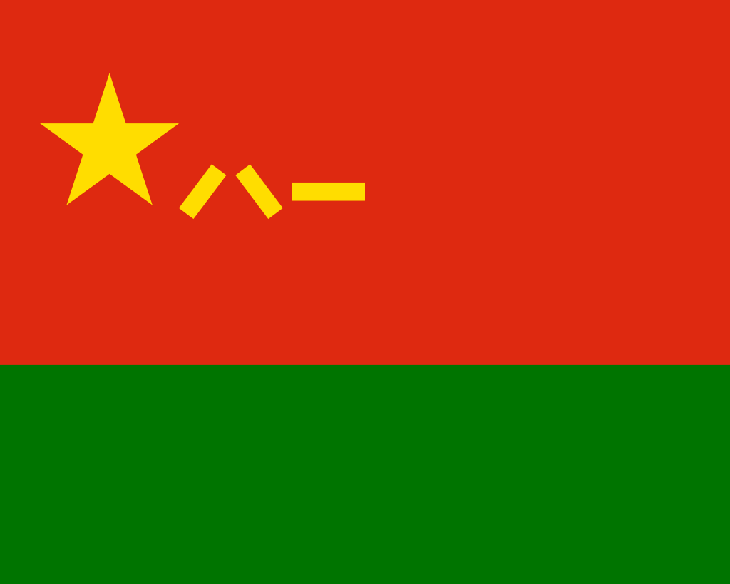 China-9 flag