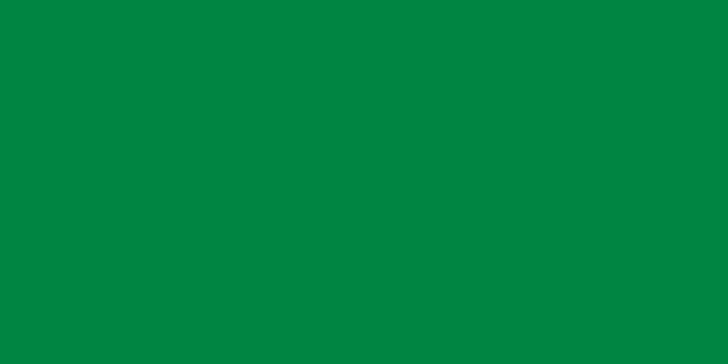 Libya-8 flag