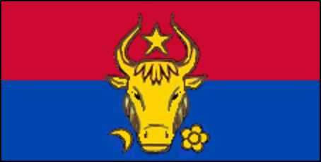 Moldovas flag-6