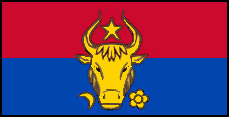 Vlag van Moldavia-17