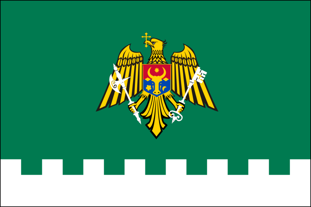Vlag van Moldawië-24