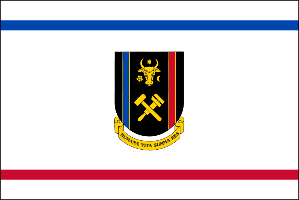 Vlag van Moldavia-26