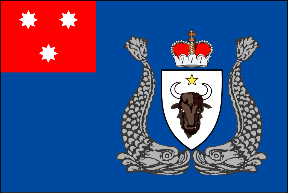 Moldovas flag-4
