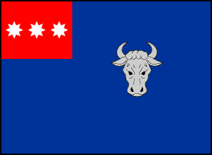 Vlag van Moldawië-5