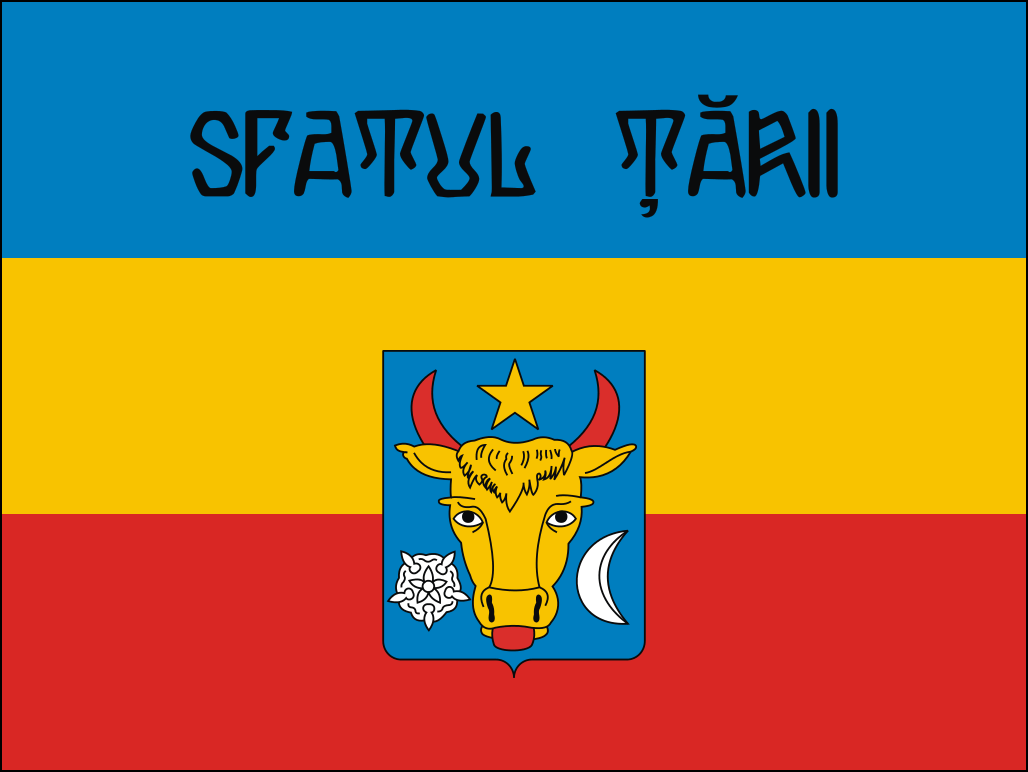 Moldovas flag-8