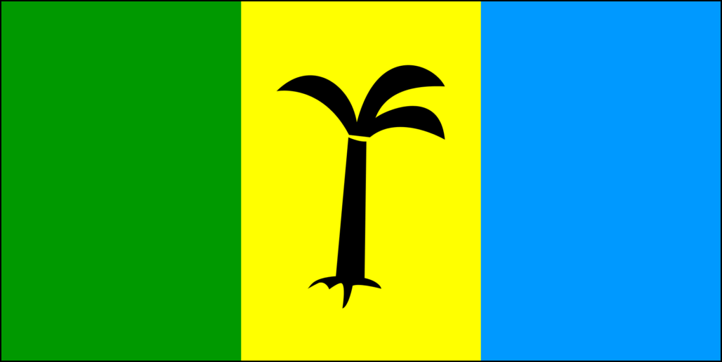 Flag af Anguild-7