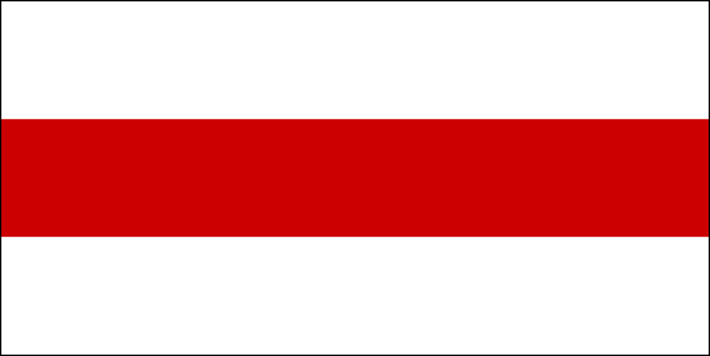 Hvideruslands flag-4
