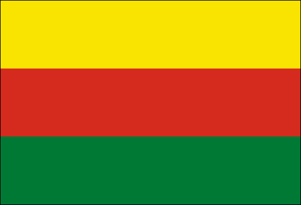 Bandera de Bolivia-5
