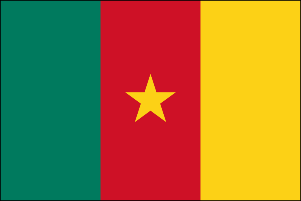 Bandera de Camerún-1