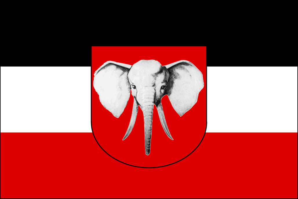 Flag Camerouna-3