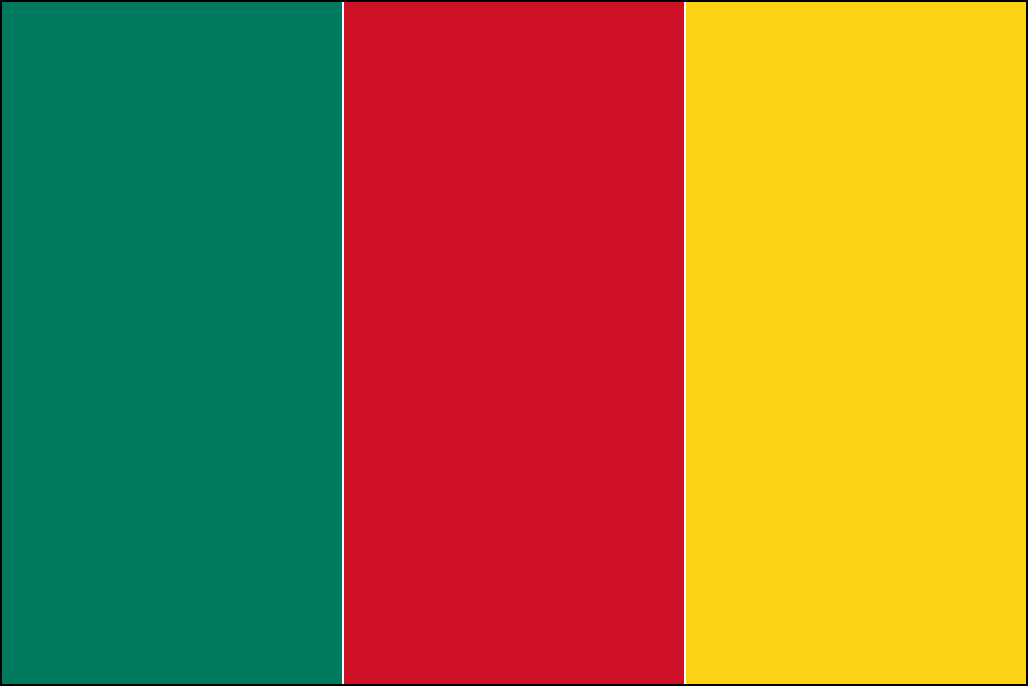 Bandera de Camerún-5