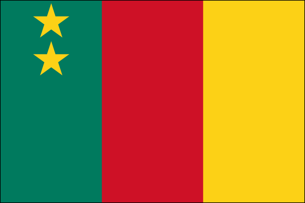 Bandera de Camerún-6