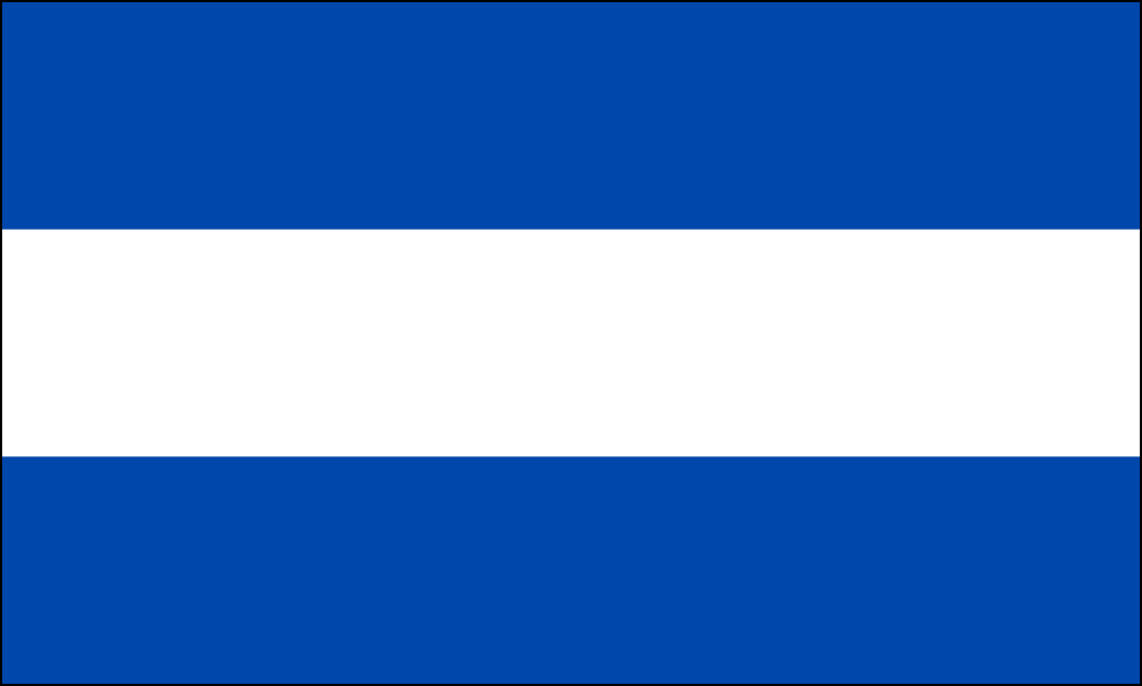 Salvador-14 bayrağı