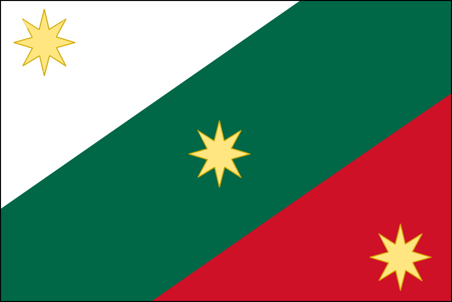 Vlag van Mexiko-4