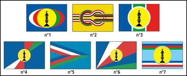 Ny Kaledoniens flag-7