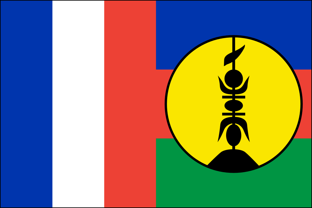 ニューカレドニア-9の旗