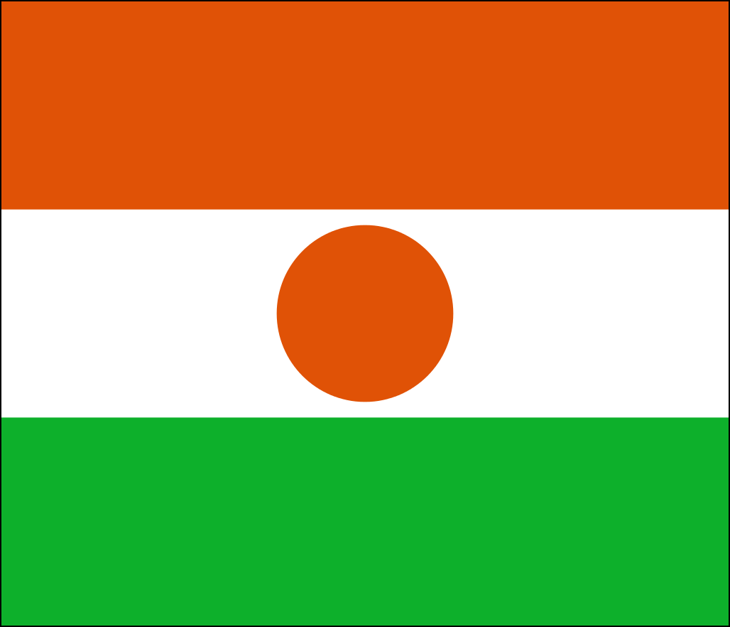 Flag Niger-1