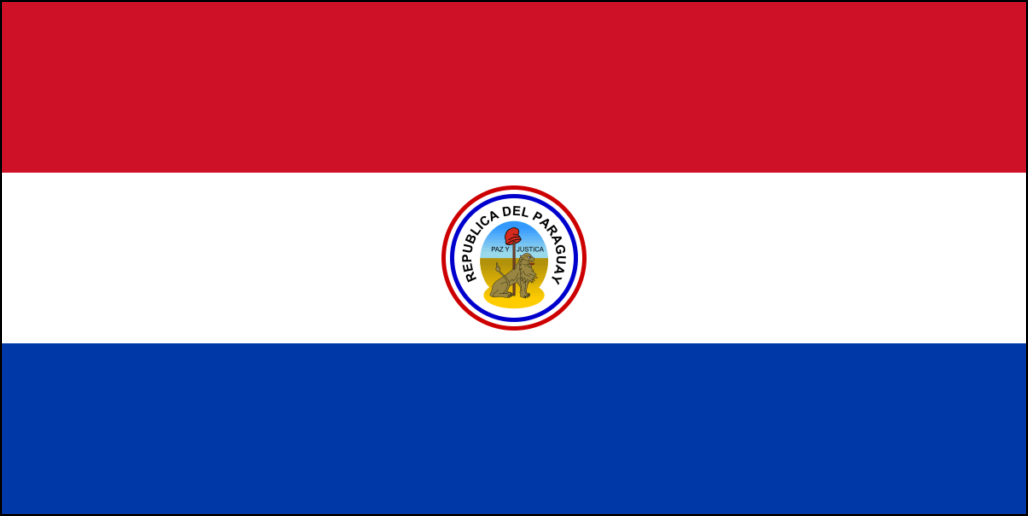 Drapeau Paraguay-10