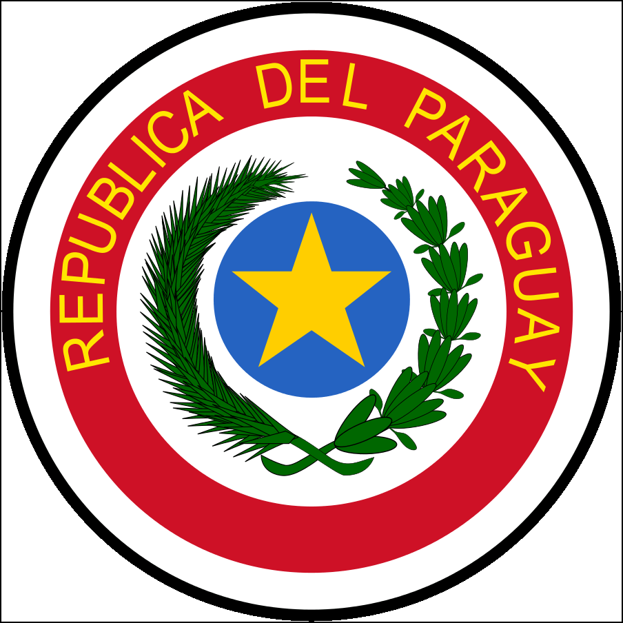 Drapeau Paraguay-14