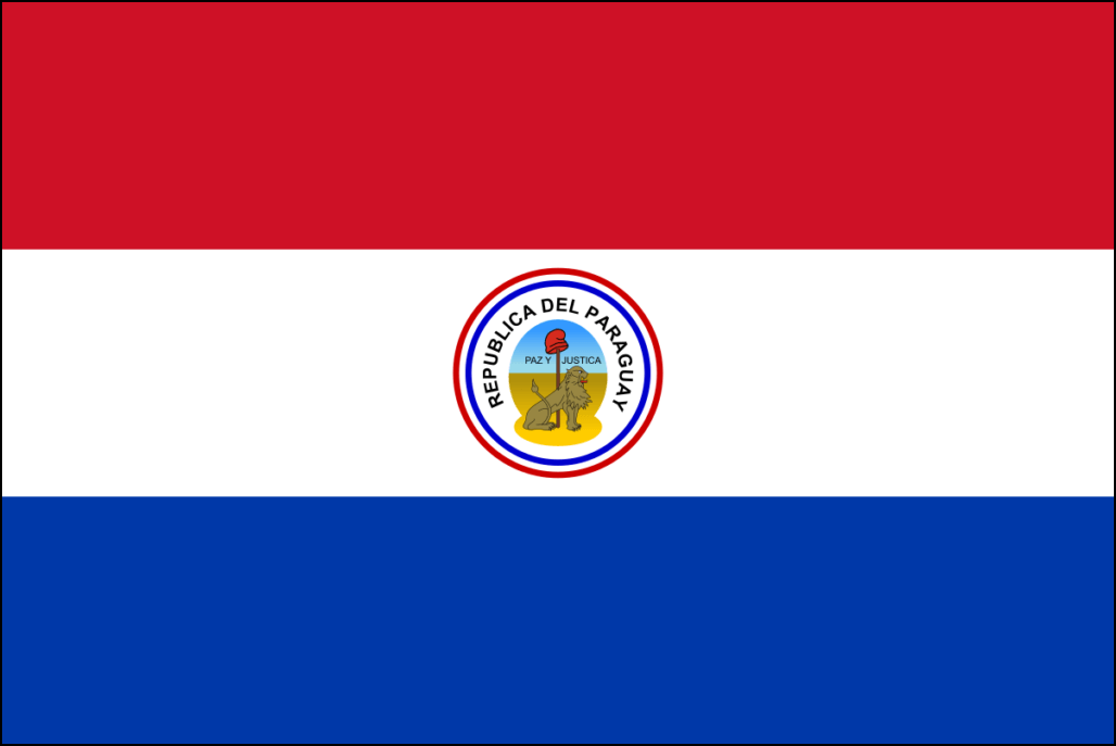 Paraguay-8 bayrağı