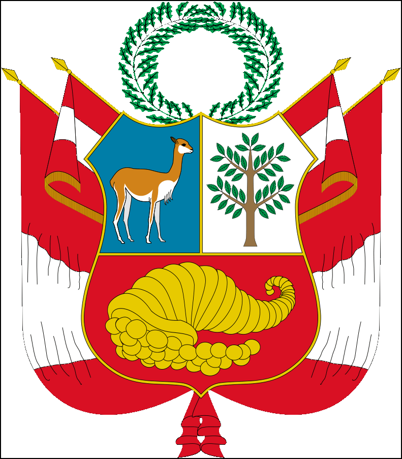 Bandiera Perù-11