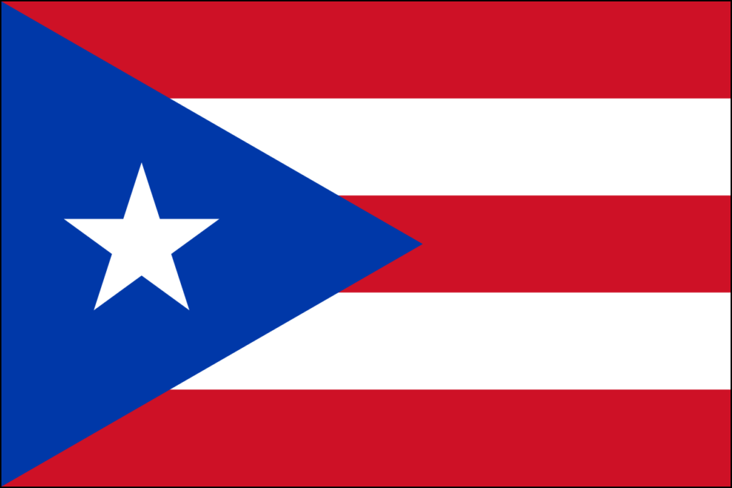Drapeau Porto Rico-5