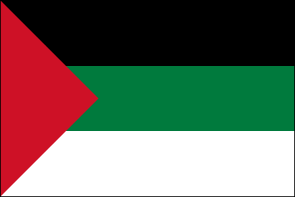 Vlajka Saúdské Arábie-7