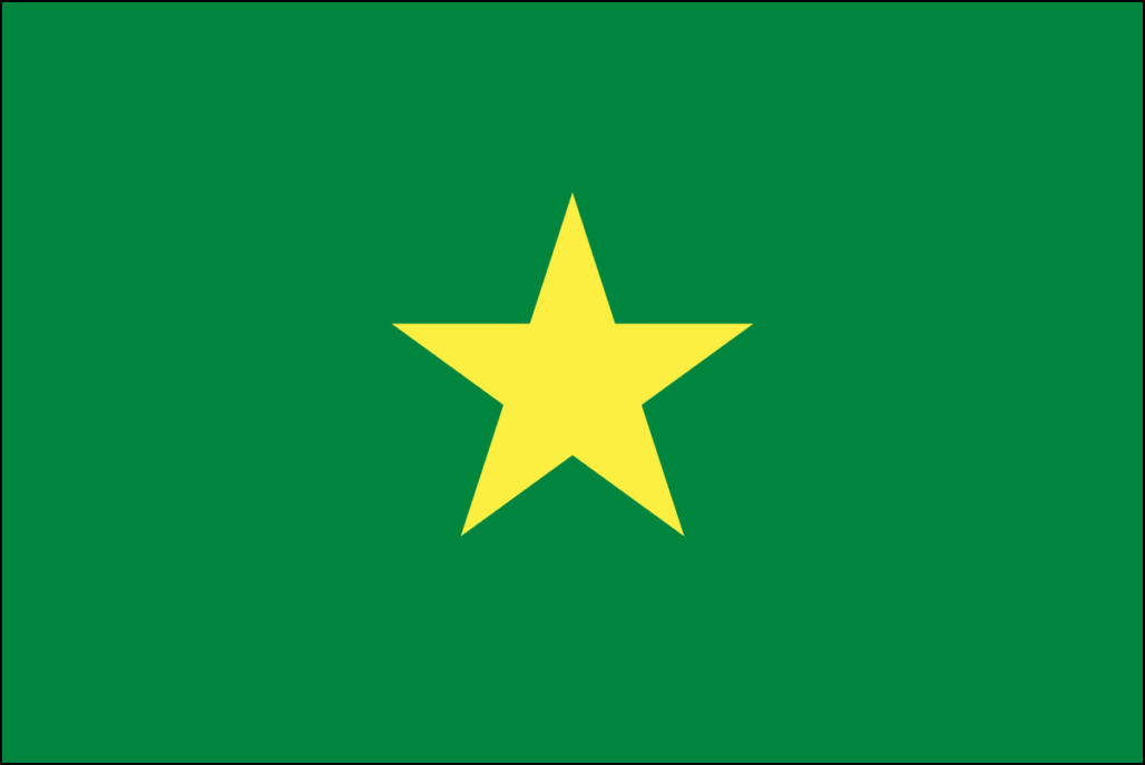 セネガルの旗-4