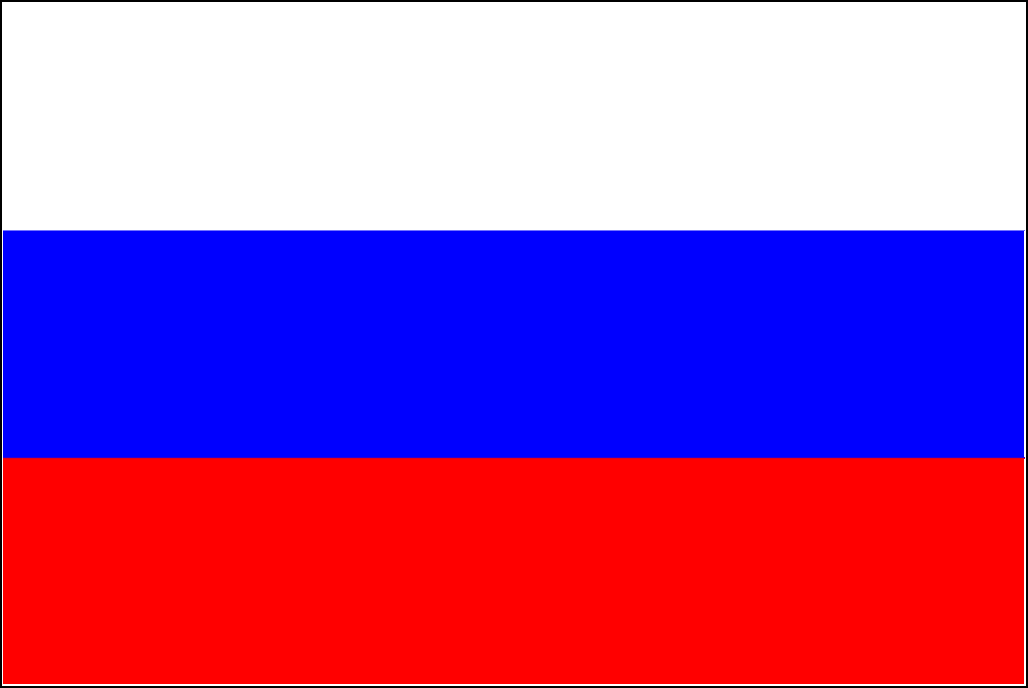Bandiera della Slovacchia-14