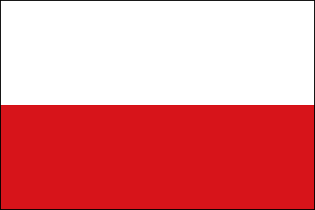 Bandiera della Slovacchia-5