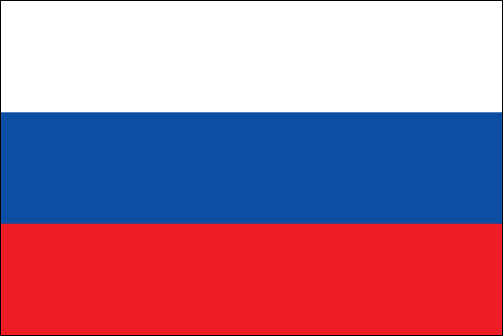 Bandiera della Slovacchia-8