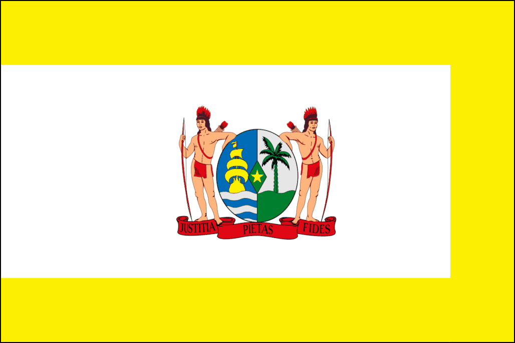 Vlag Suriname-5