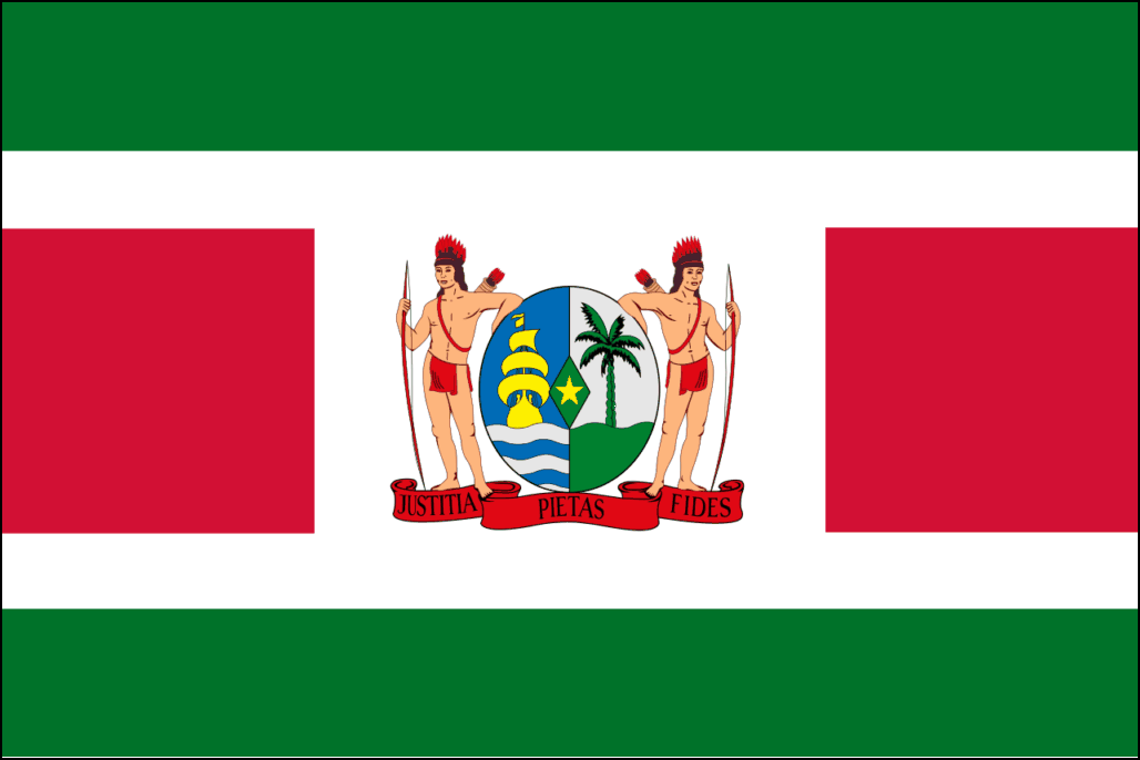 Suriname-6 bayrağı