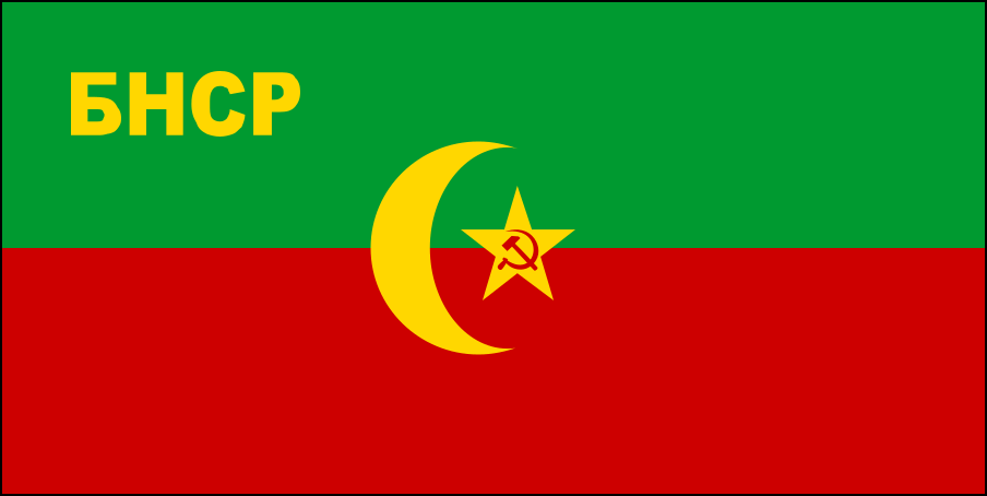 Bandera de Tayikistán-6