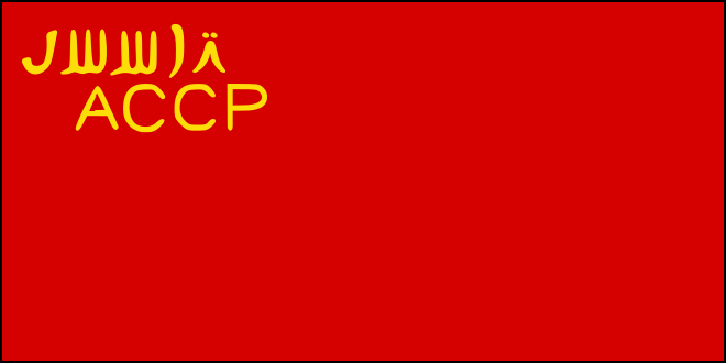 USSR-6s flag