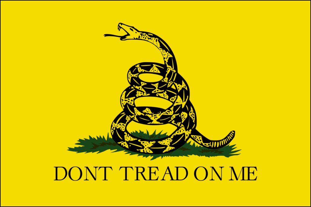Bandera de Estados Unidos-6
