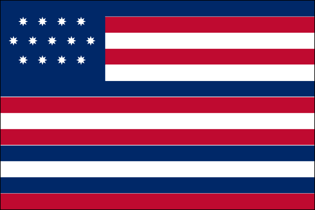 Vlag van USA-10