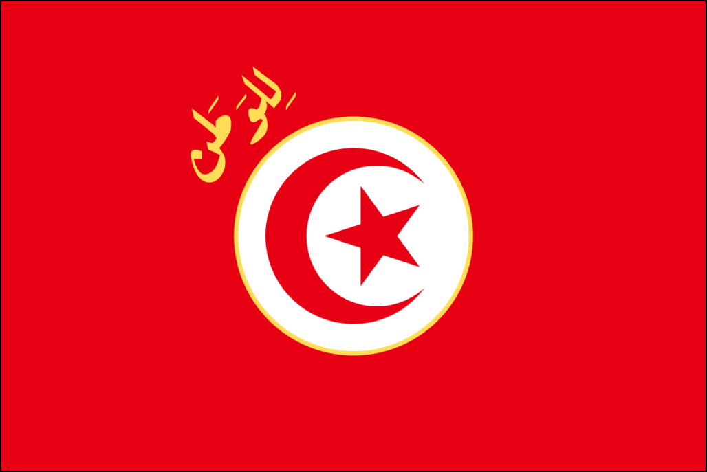 Flagge Tunesien-7