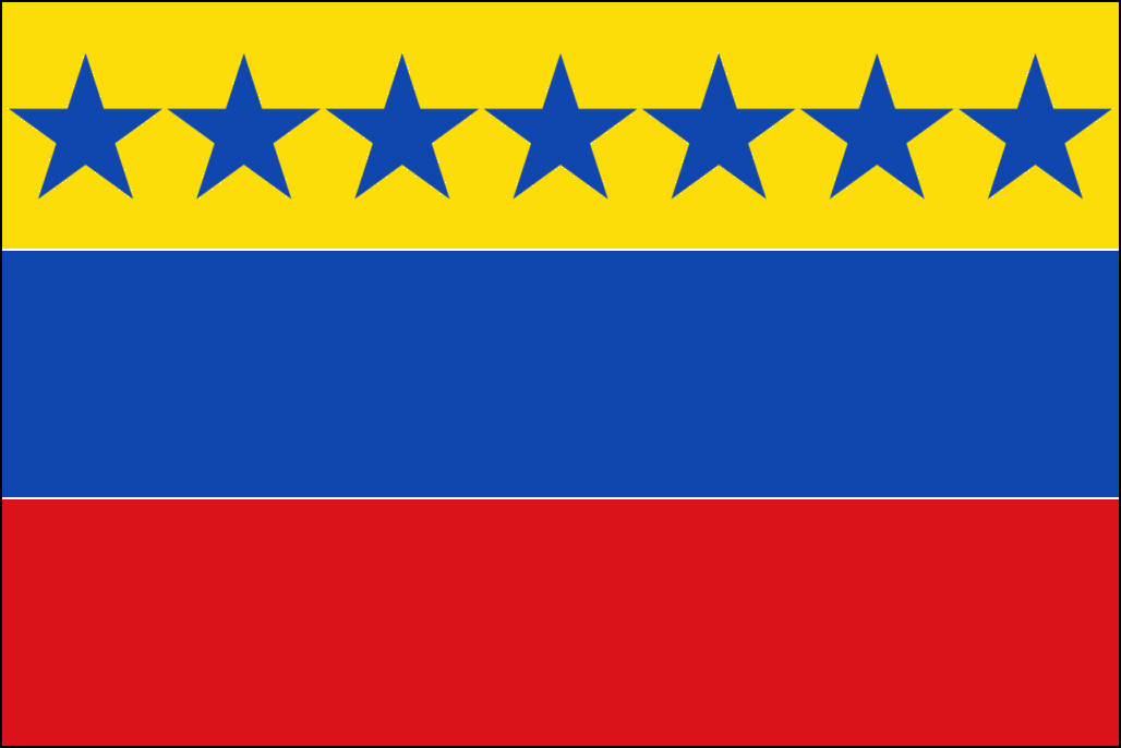 Drapeau du Venezuela-7