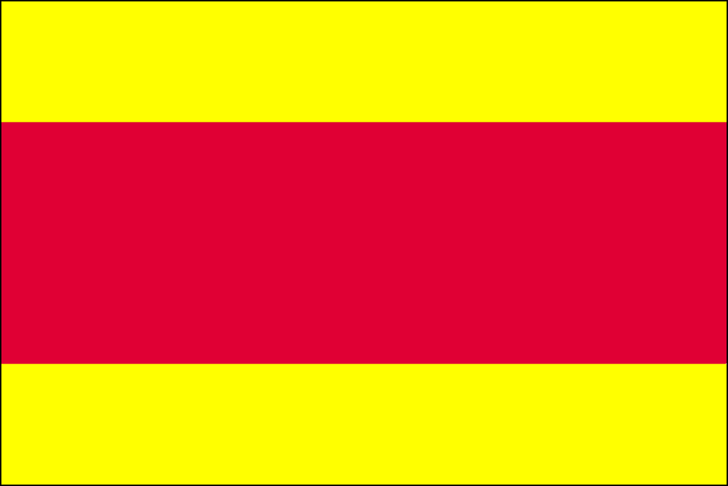 Bandera de Vietnam-4