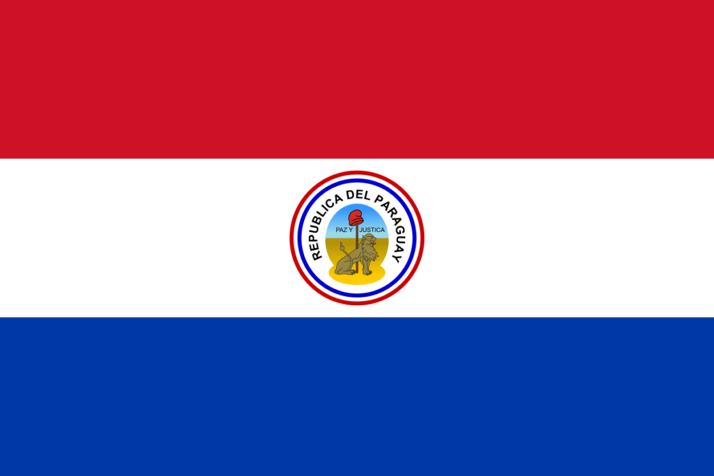 Paraguay-8 flag