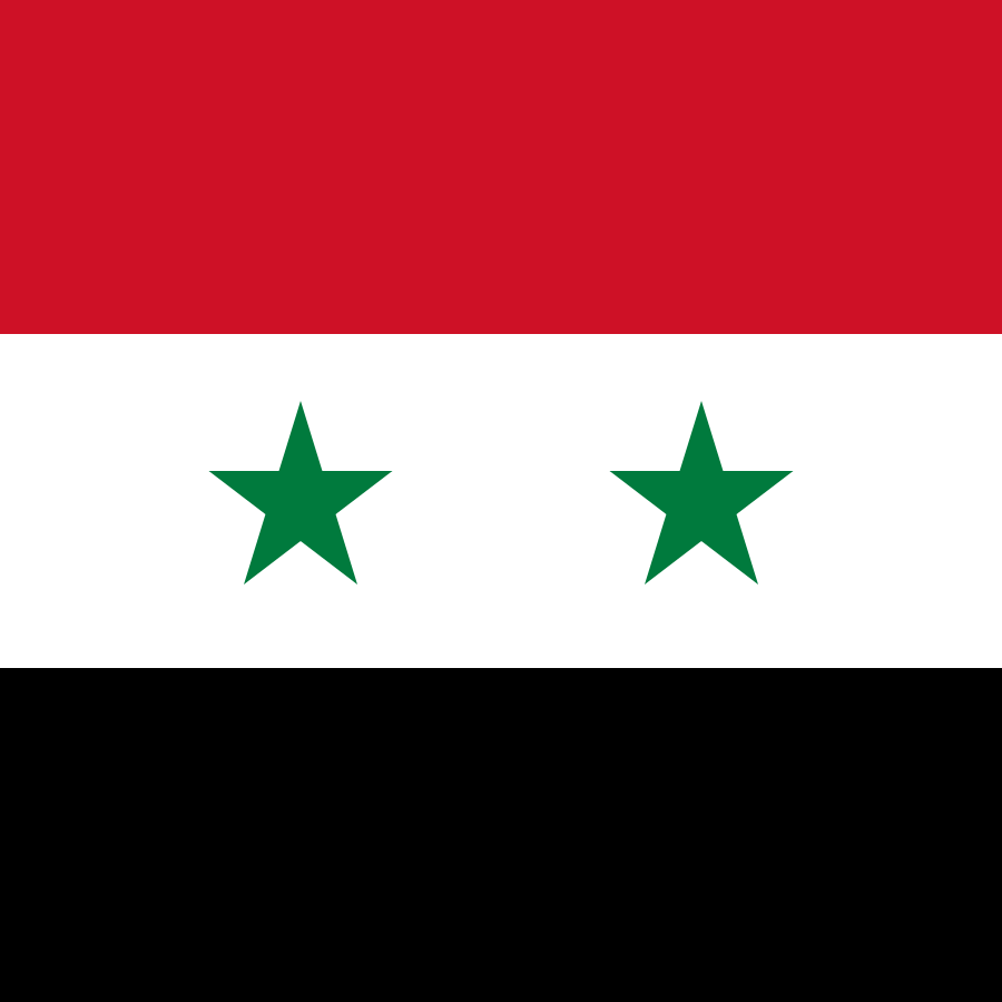 Flag of Syria-15