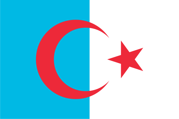 Flag of Syria-22